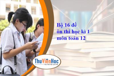 Bộ 16 đề ôn thi học kì 1 môn toán 12