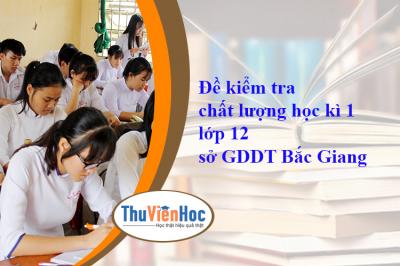 Đề kiểm tra chất lượng học kì 1 lớp 12 sở GDDT Bắc Giang