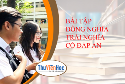 BÀI TẬP ĐỒNG NGHĨA TRÁI NGHĨA CÓ ĐÁP ÁN