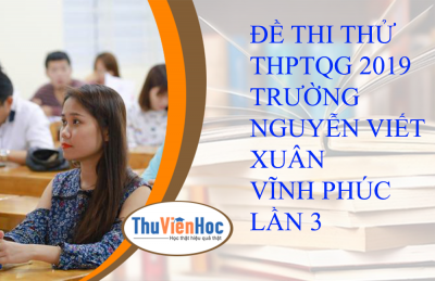 ĐỀ THI THỬ THPTQG-2019 - GDCD -TRƯỜNG NGUYỄN VIẾT XUÂN - VĨNH PHÚC LẦN 3