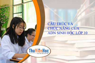 CẤU TRÚC VÀ CHỨC NĂNG CỦA ADN SINH HỌC LỚP 10