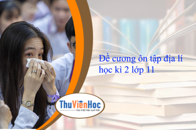 Đề cương ôn tập địa lí học kì 2 lớp 11